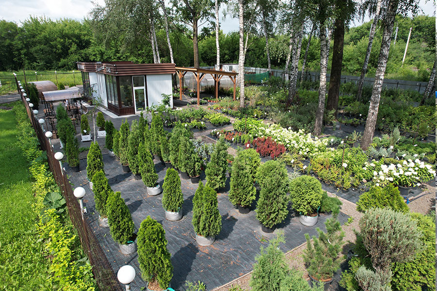 Источник - https://sibsad-pitomnik.ru/images/photo-gallery/ploshadki/Goncharova-3.jpg