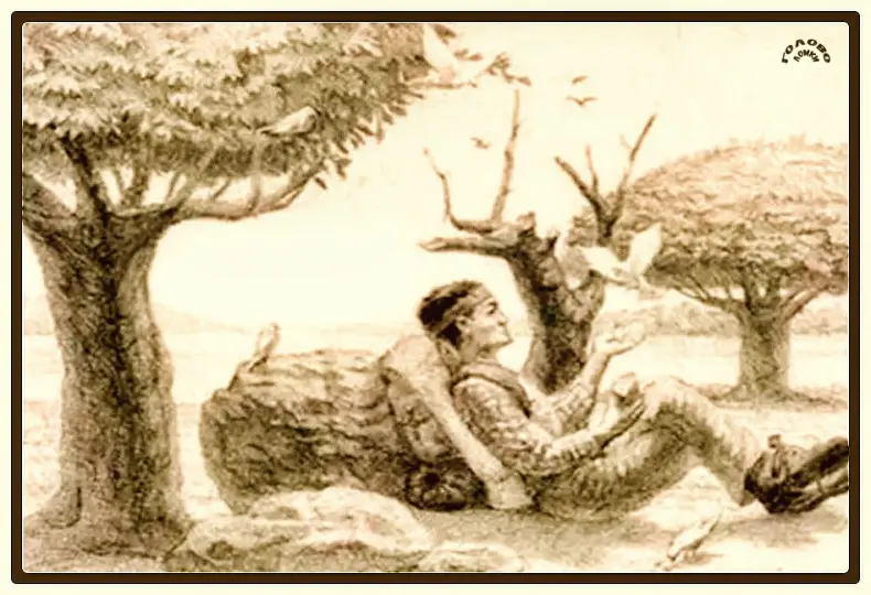 Тест на зоркость - найди лошадь