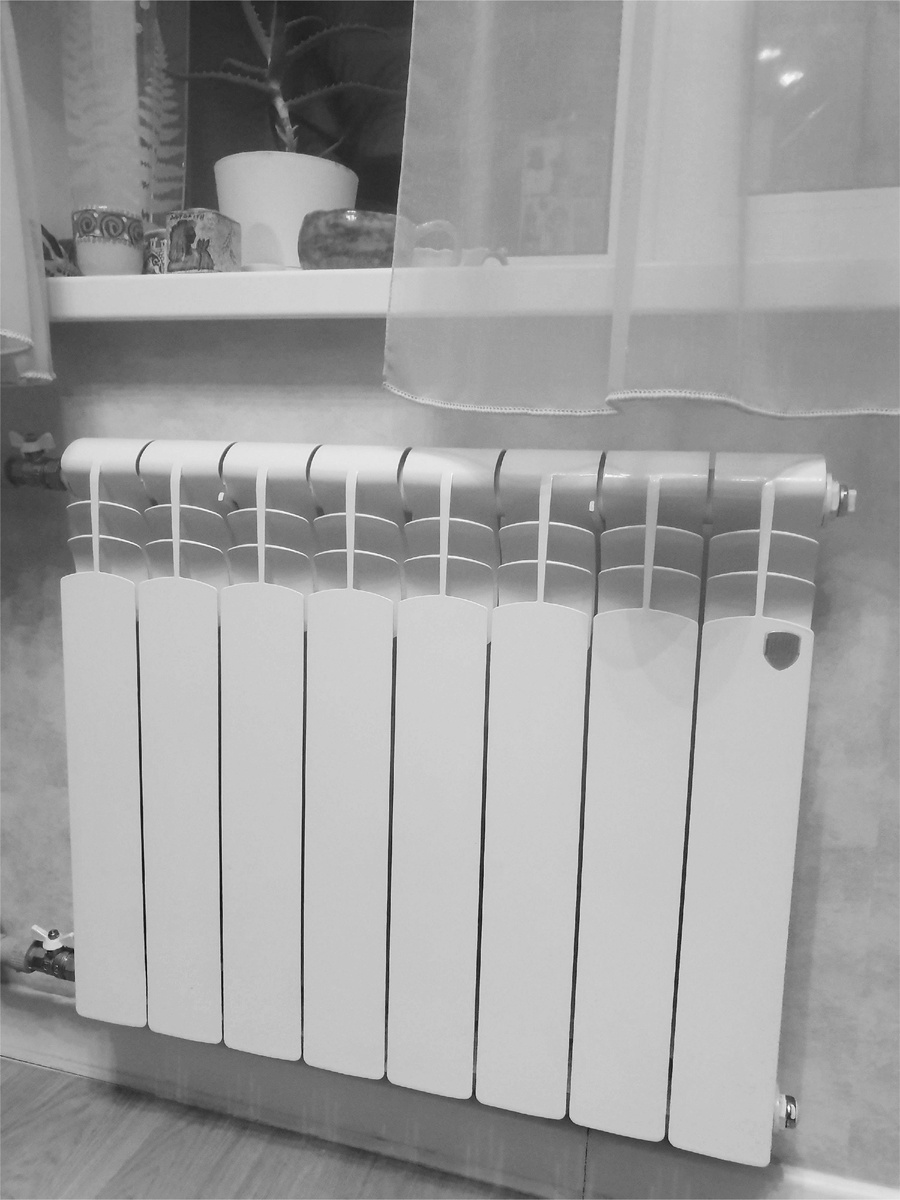 Собственное фото