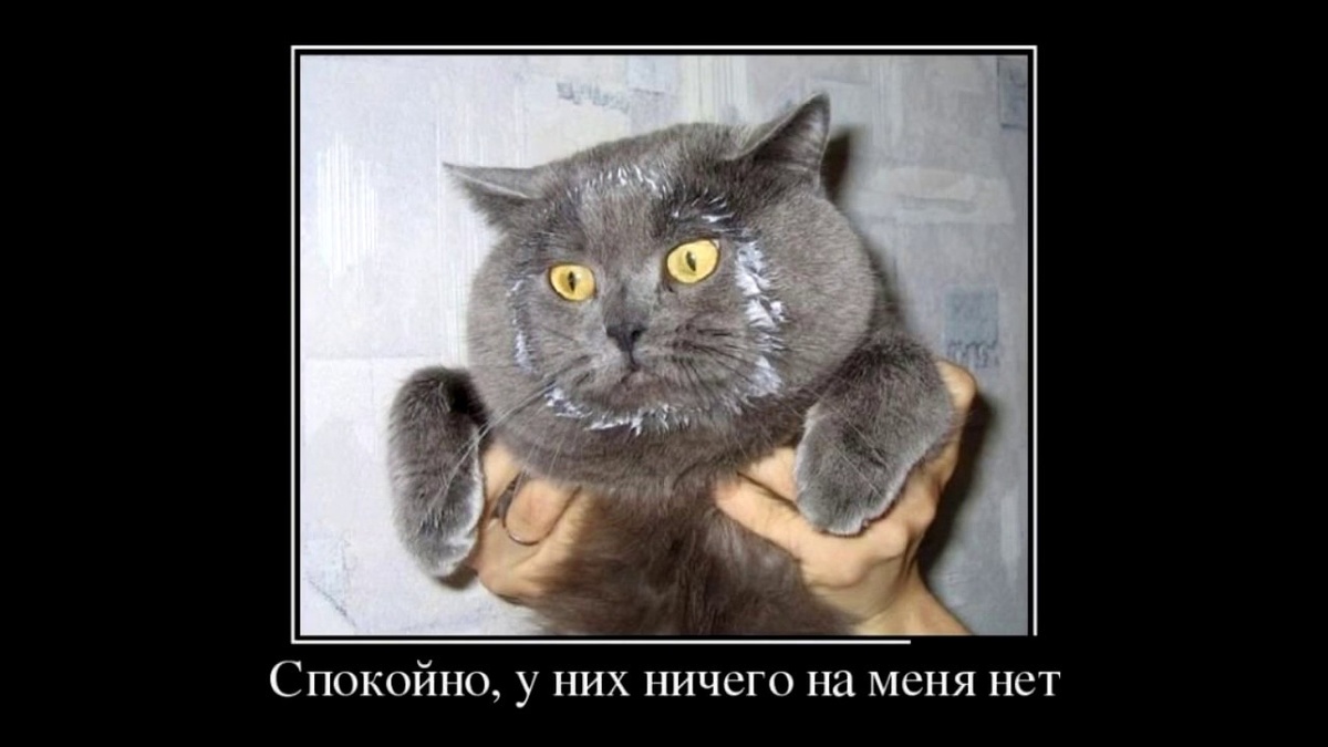 источник Яндекс-картинки