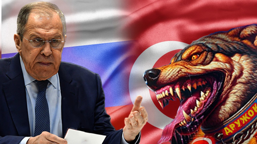    Фото: Shutterstock.com/Коллаж Царьграда