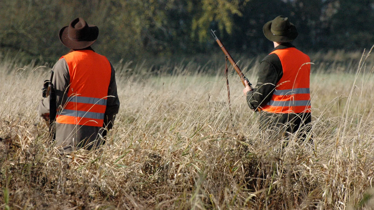 CC BY-SA 2.0 / storem / The Hunt