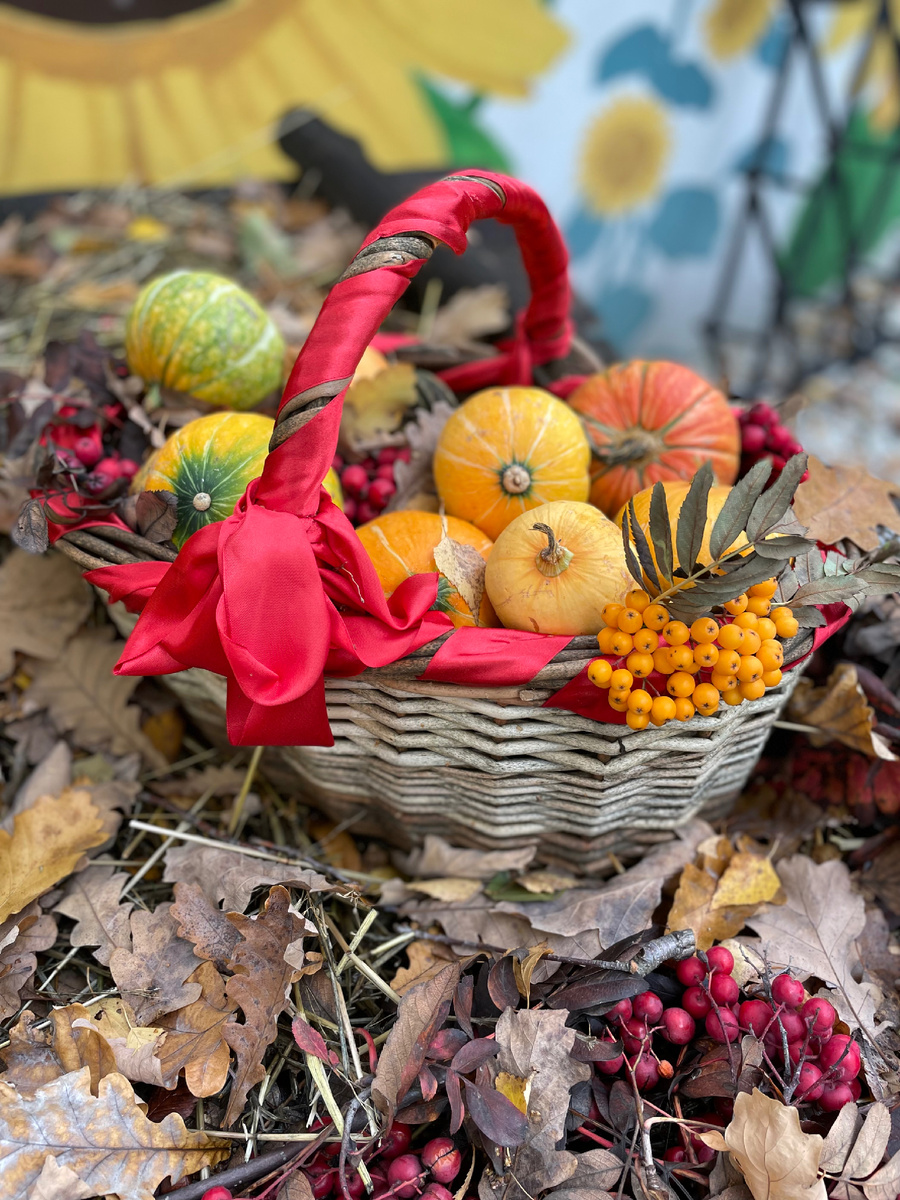 Чудесная корзина декоративных тыкв в зоопарке Лимпопо в Нижнем Новгороде,не смогла пройти мимо такой красоты, осень 2022