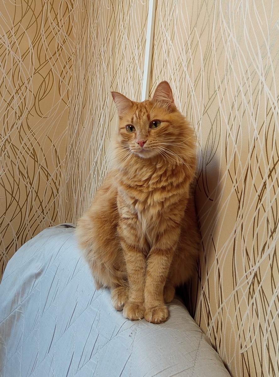 Давай-давай, рассказывай, а я послушаю