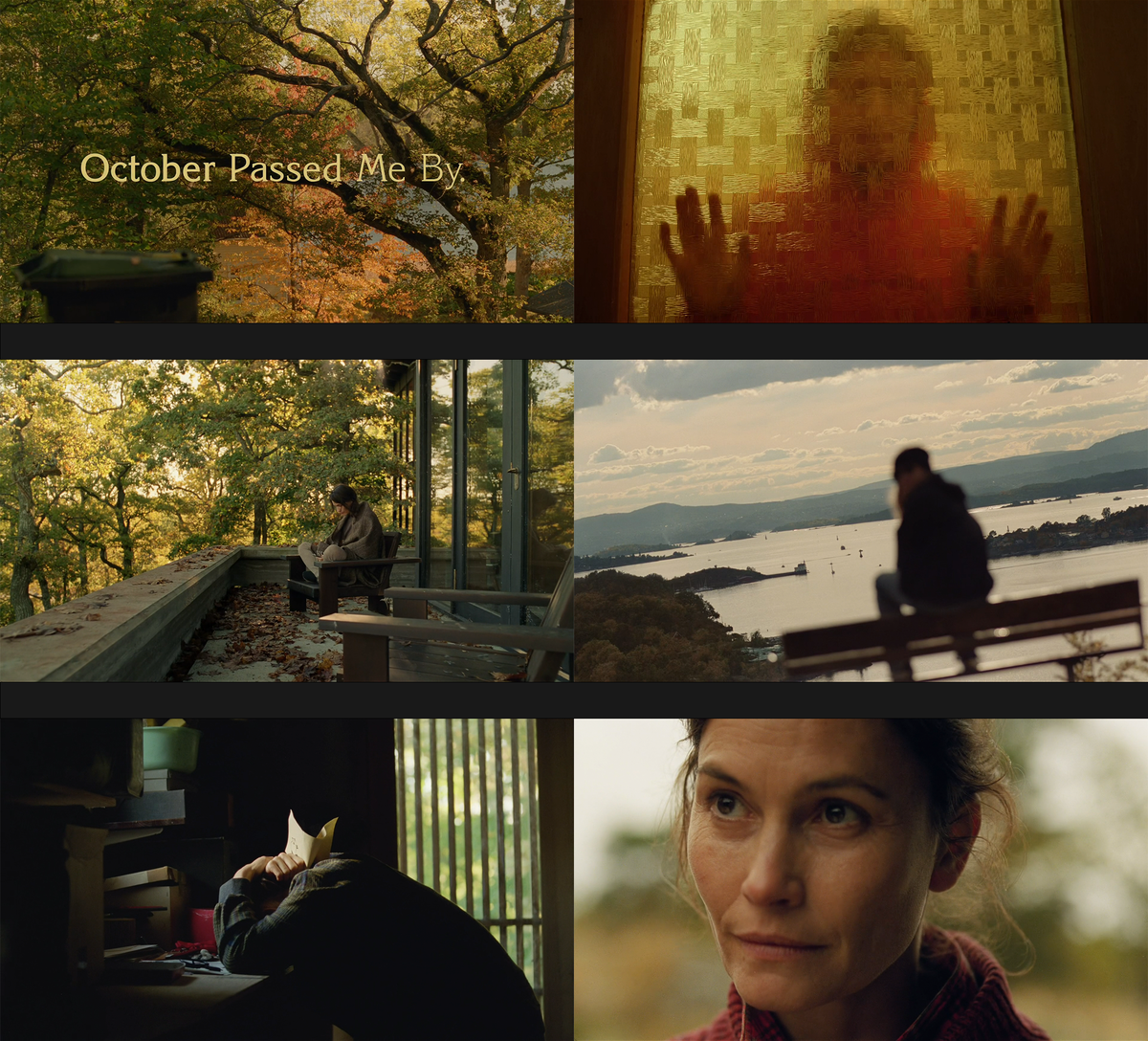 Кадры из короткометражки