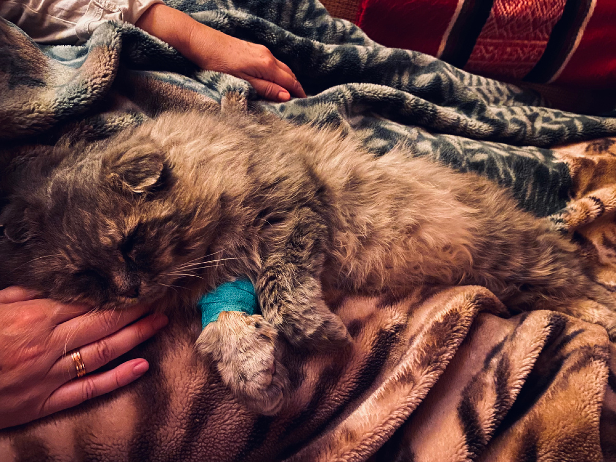 Наконец можно полежать на теплом матрасике.