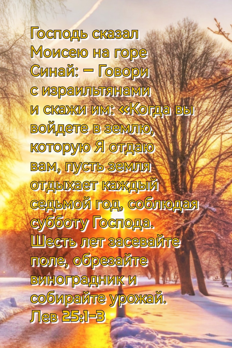 Книга Левит, Глава 25, Стихи 1-3