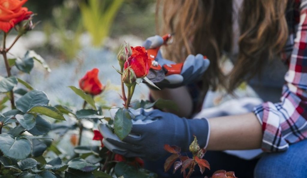 Фото из архива