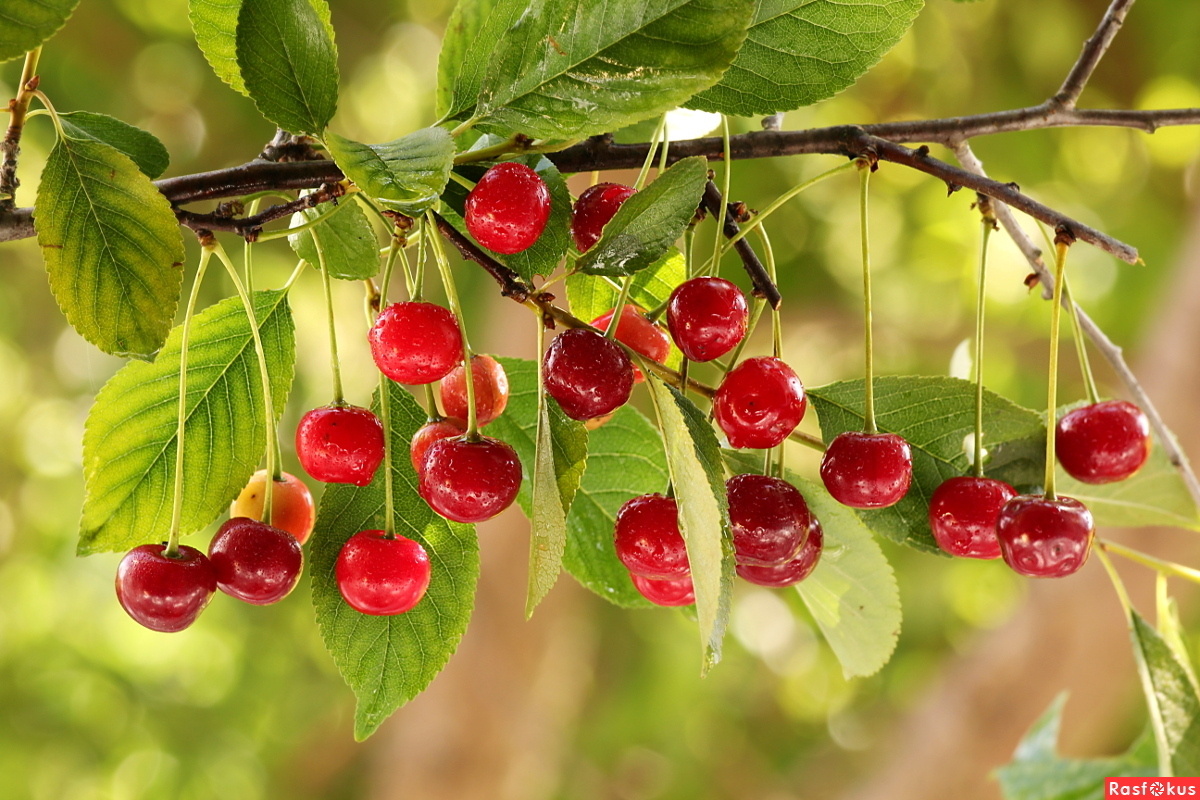 Изображение из открытых источников