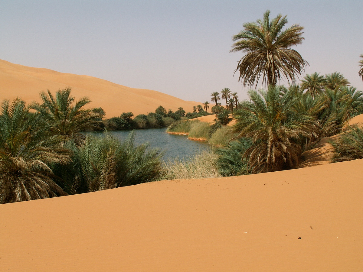 Изображение из открытых источников