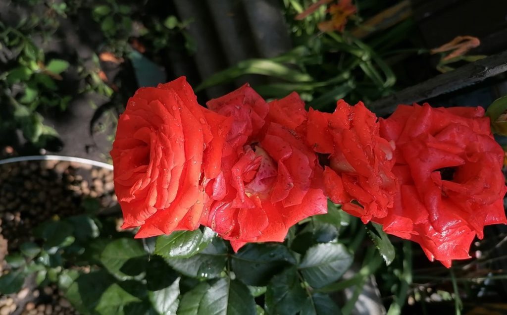 Фото из архива