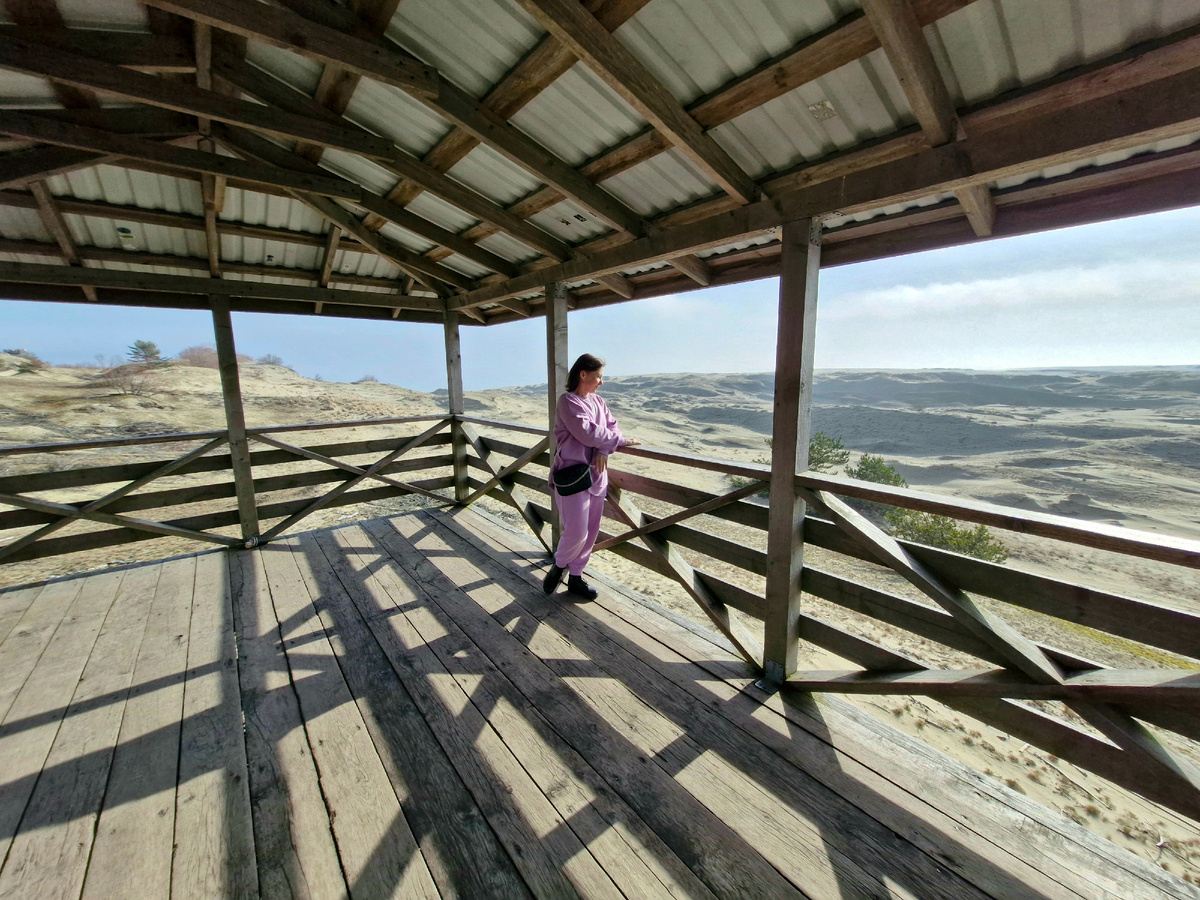 Из архива автора. Куршская коса, февраль 2024 г 