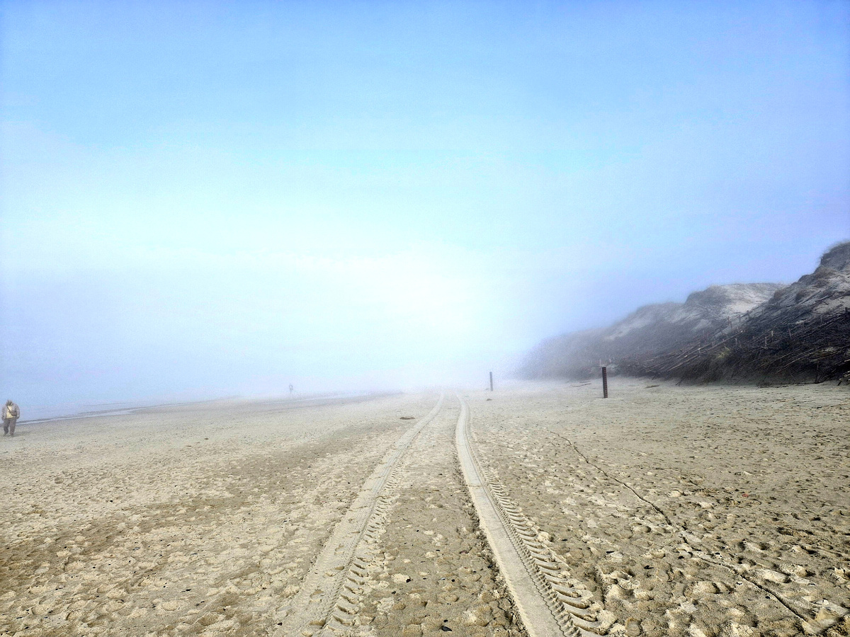 Из архива автора. Куршская коса, февраль 2024 г.