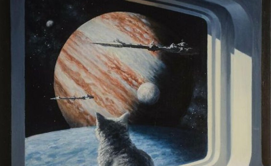 Какой корм лучше, сухой или влажный? А если оба сразу?