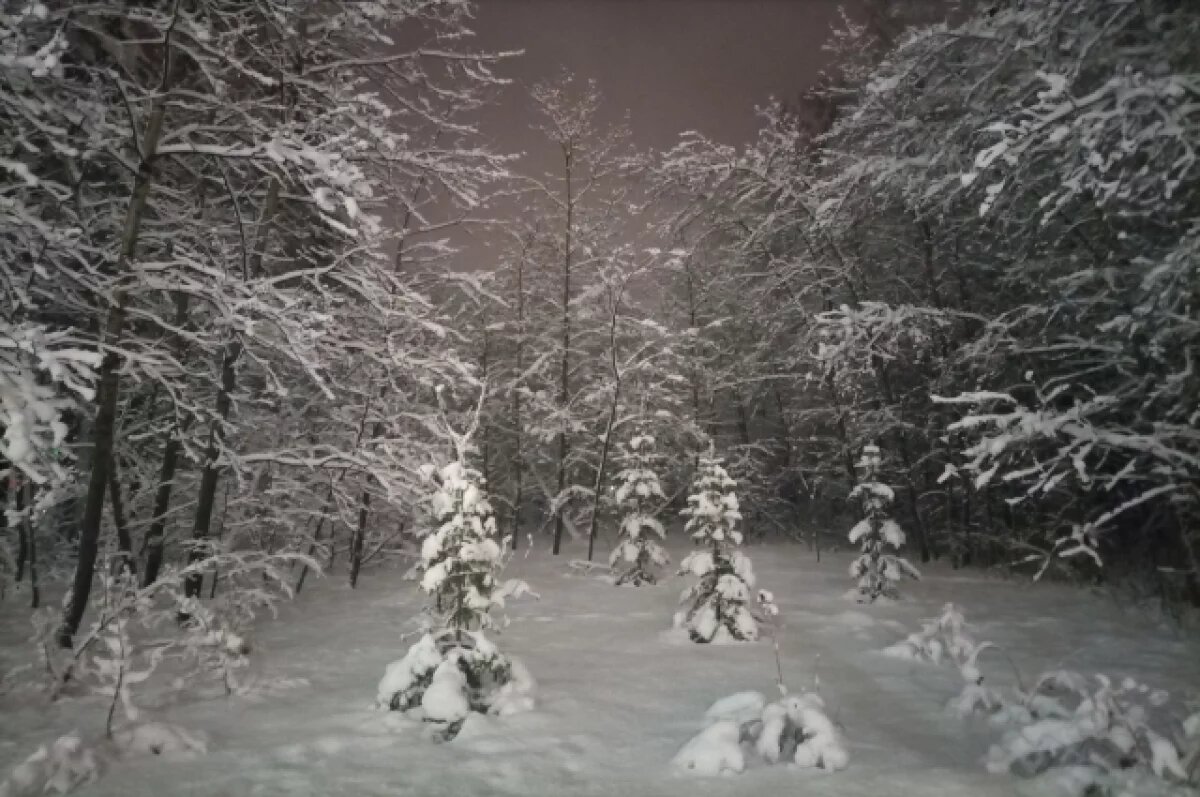    Новосибирцам рассказали, что нельзя делать в Акиндинов день 15 ноября