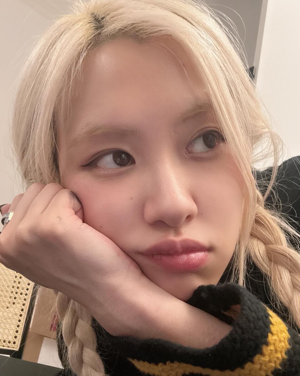    РозэСоцсети