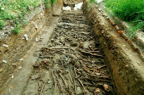 Фото из интернета 