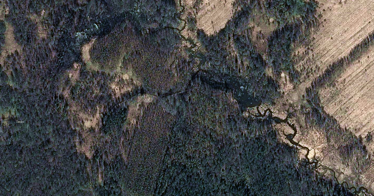 Русло Ухтомки возле Догадцево