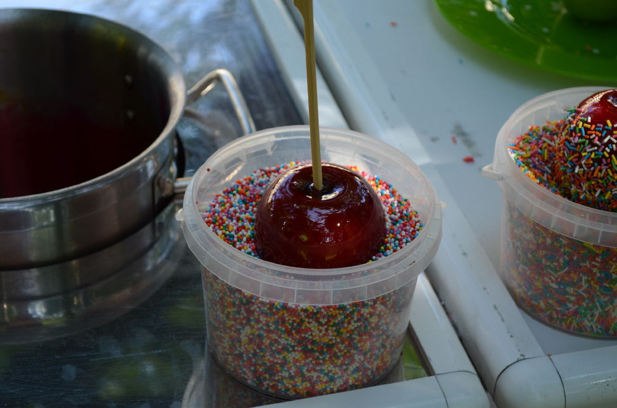 Моё первое яблочко г. Кронштадт