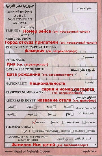 Миграционная карта в Египет. Лицевая сторона