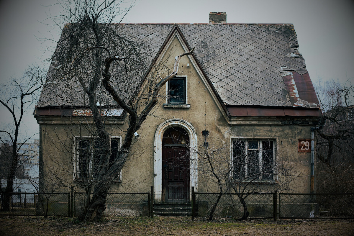 Источник изображения: Nastasia Makfinova. Unsplash.