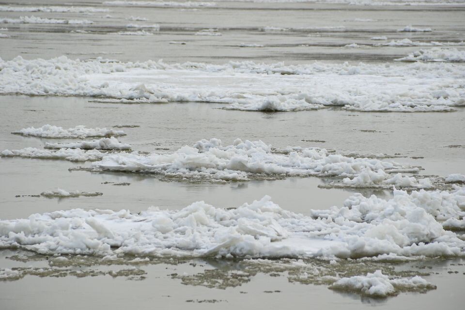    Обь. Барнаул. Набережная. Источник: Виталий Барабаш/"Толк"