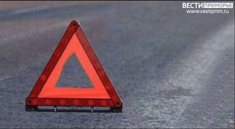    Источник фото: //t.me/gibddvdk