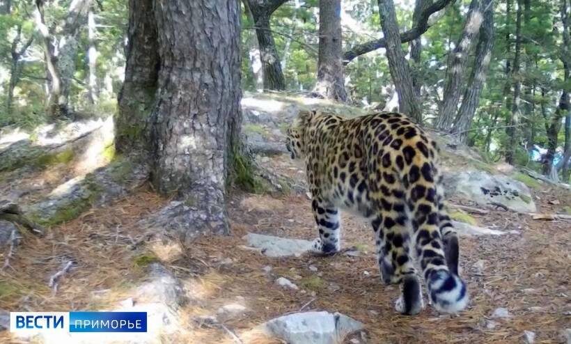    Источник фото: