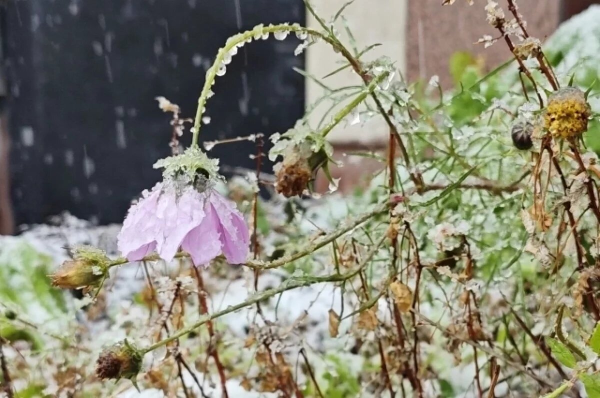    В Приморье может пойти не только дождь, но и снег