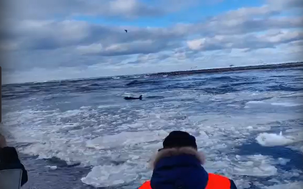 Фото: скриншот с видео министра по чрезвычайным ситуациям Камчатского края Сергея Лебедева