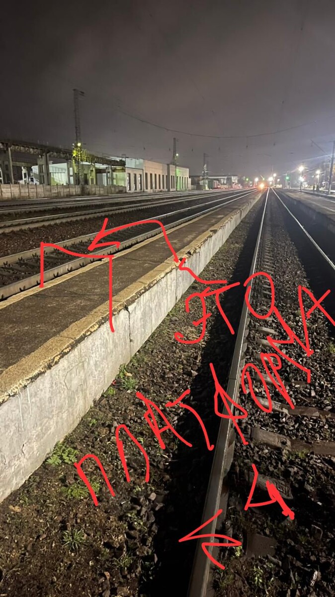 09.11.2024 | фото автора | г. Александров Владимирской обл.