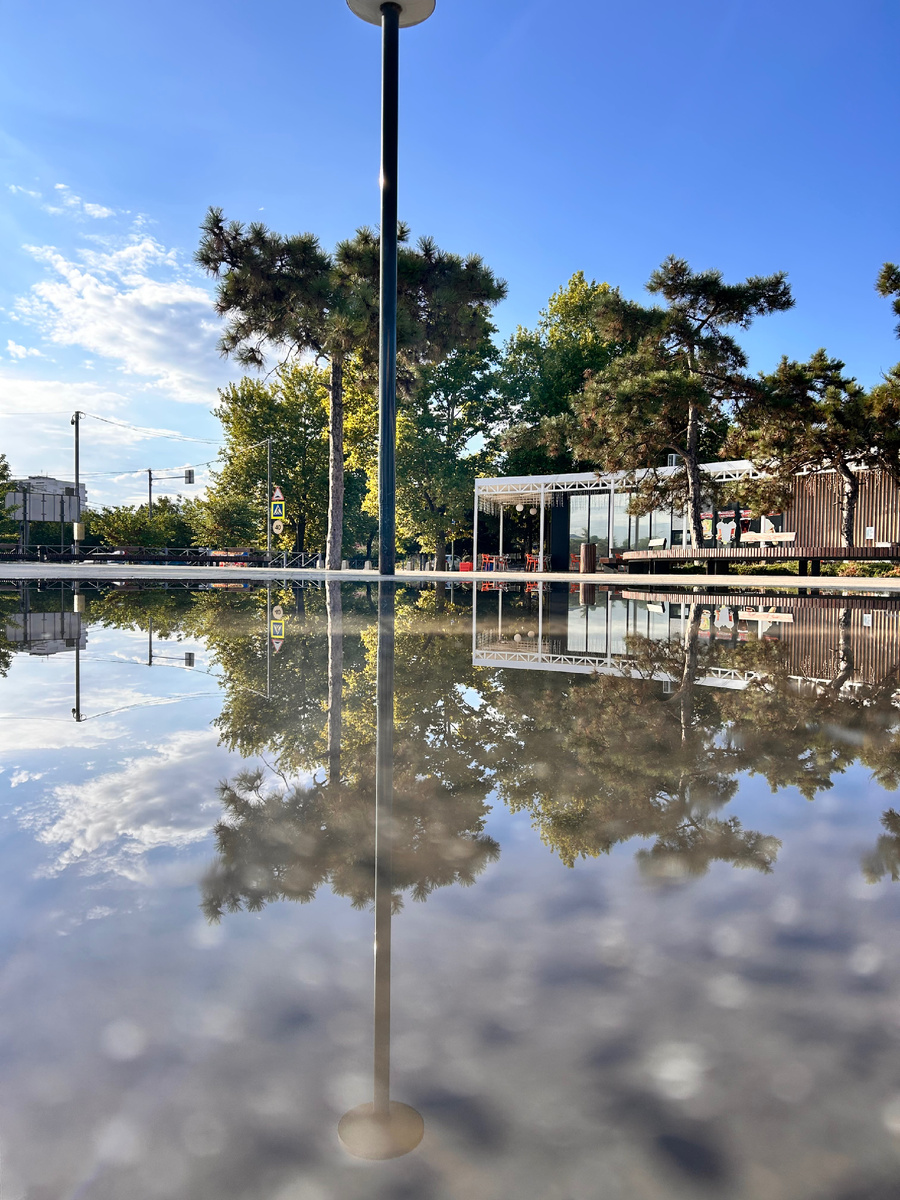 Фото мое. Дорогие читатели ! Гороскоп пишу сама. Стараюсь быть полезной. Я не профи, просто мне интересно. Ставьте лайки и подписку. 💫 Гороскоп краткий, обобщающий, самое важное в общем и целом. 😊 Поддержать автора СБЕР:2202 2080 3176 2447