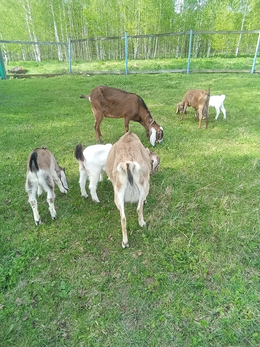 Фото автора.