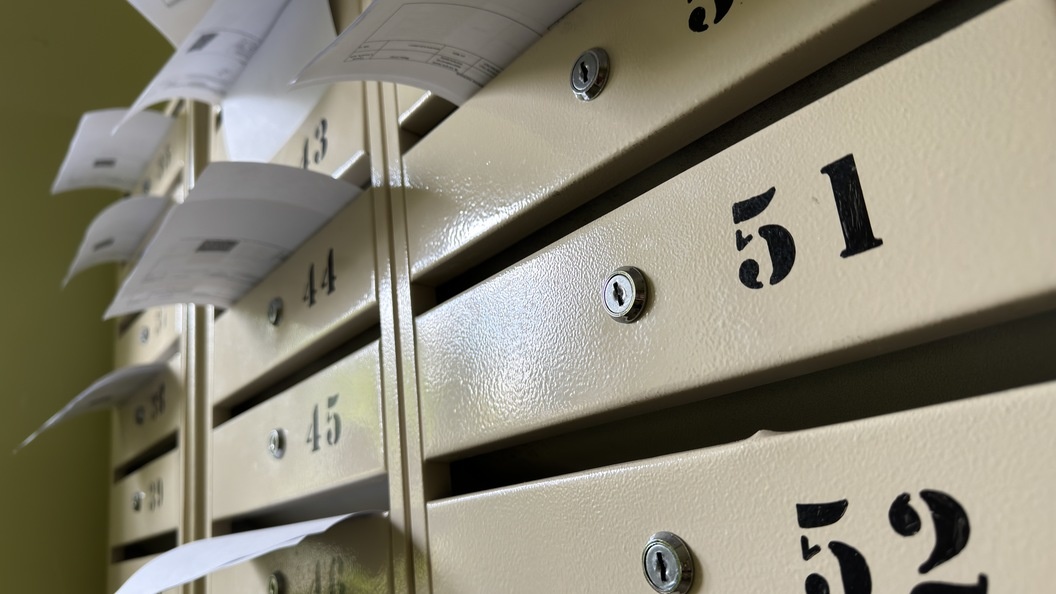    Фото: Alexander Legky/Globallookpress