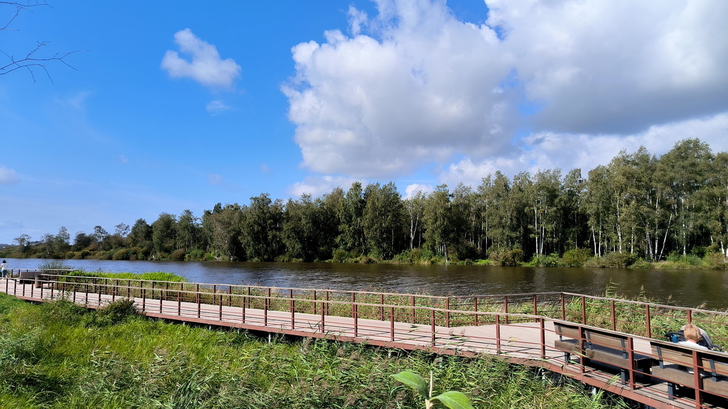    Фото: Maksim Konstantinov/Globallookpress