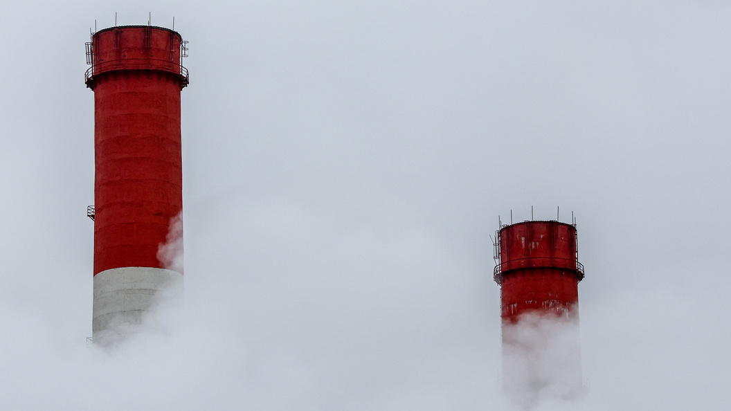    Фото: Belkin Alexey/Globallookpress