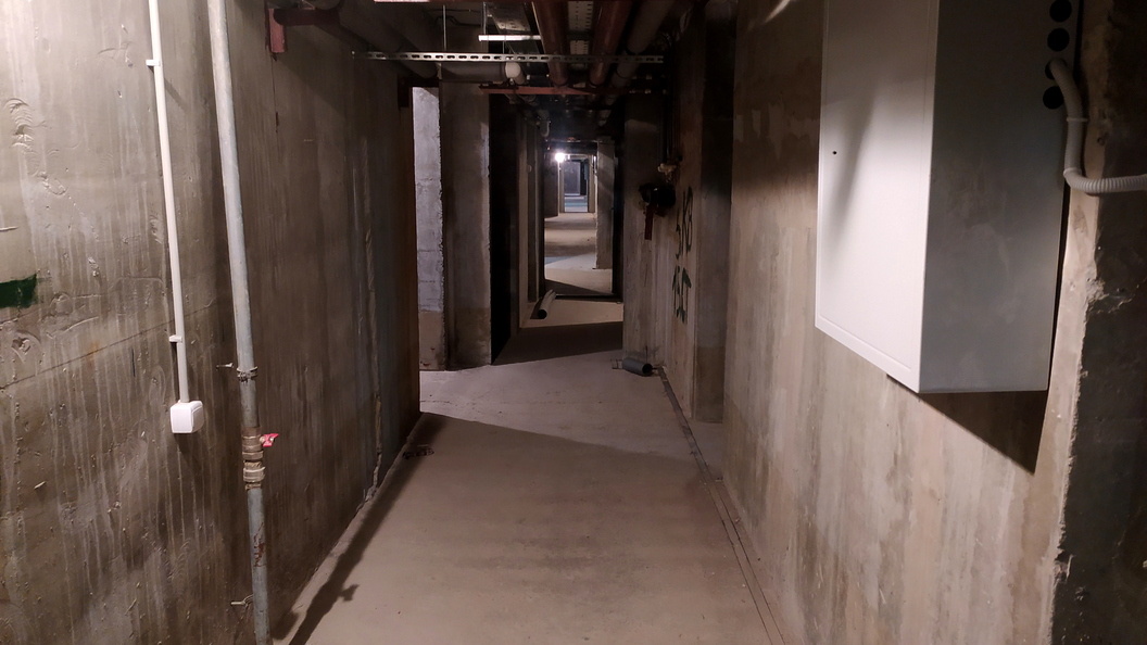    фото: Maksim Konstantinov//Globallookpress