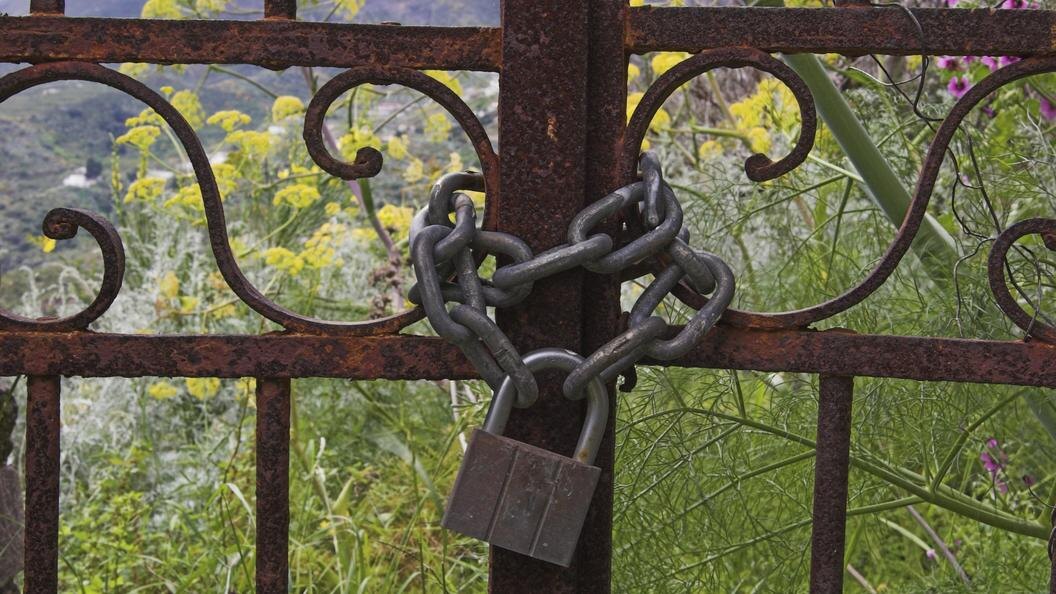    фото: Klaus Rainer Krieger/imageBROKER.com/Globallookpress