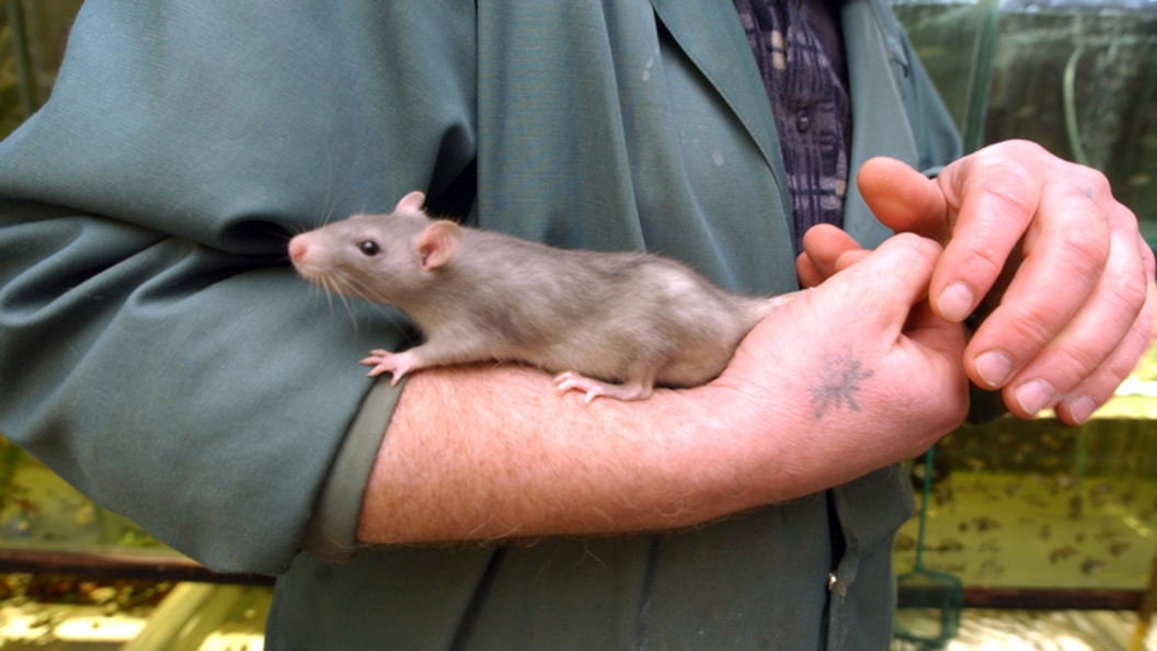    Aleksandr Schemlyaev/Globallookpress