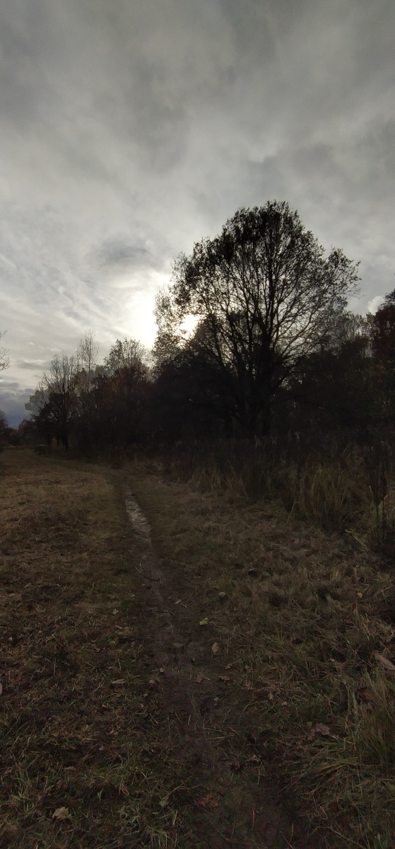 Личное фото