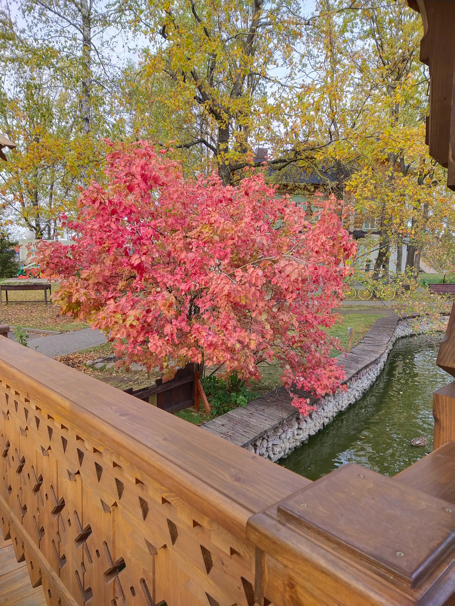 Личное фото