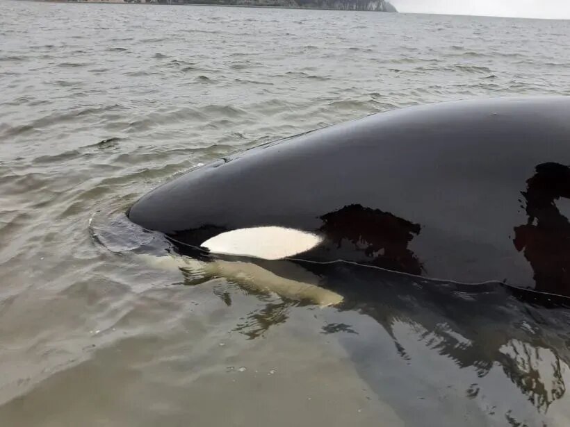 © РИА Новости Людмила Щербакова