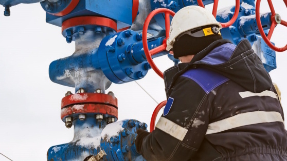    Стали известны главные покупатели российского газа в ЕС Татьяна Сидорова