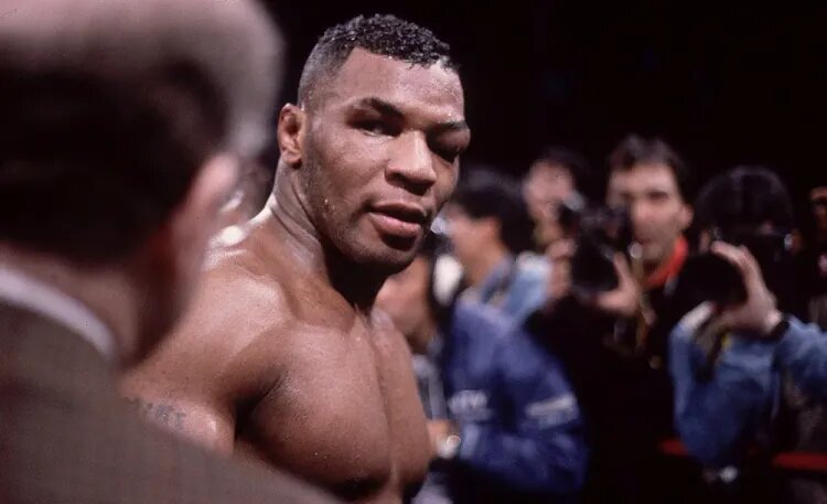    Источник фото: WBA