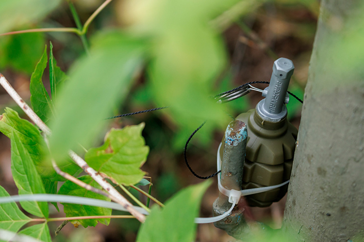 Фото: «БИЗНЕС Online»