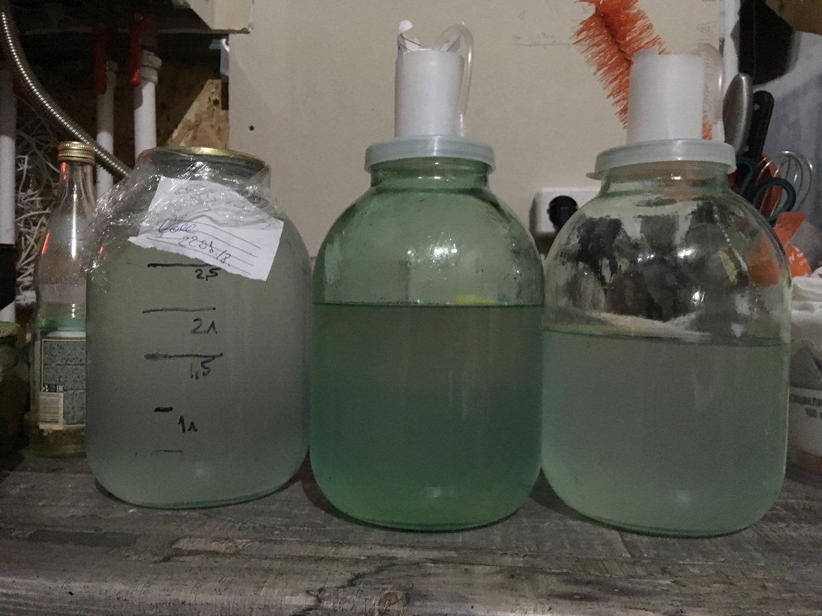 Сырец из овсяных хлопьев на кодзи на аппарате с сухопарником. Внимание! Выполнено Непрофессионалами. Не повторять!