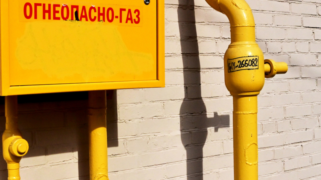    Vladimir Baranov/Globallookpress