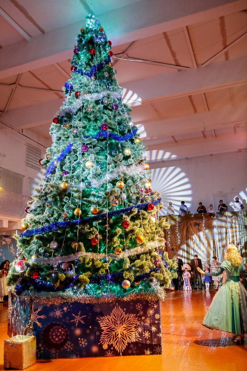 Новогодняя царица