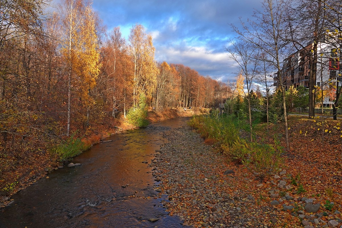    Осень в Петрозаводске. Лососинка. Фото: "Республика"/Максим Смирнов