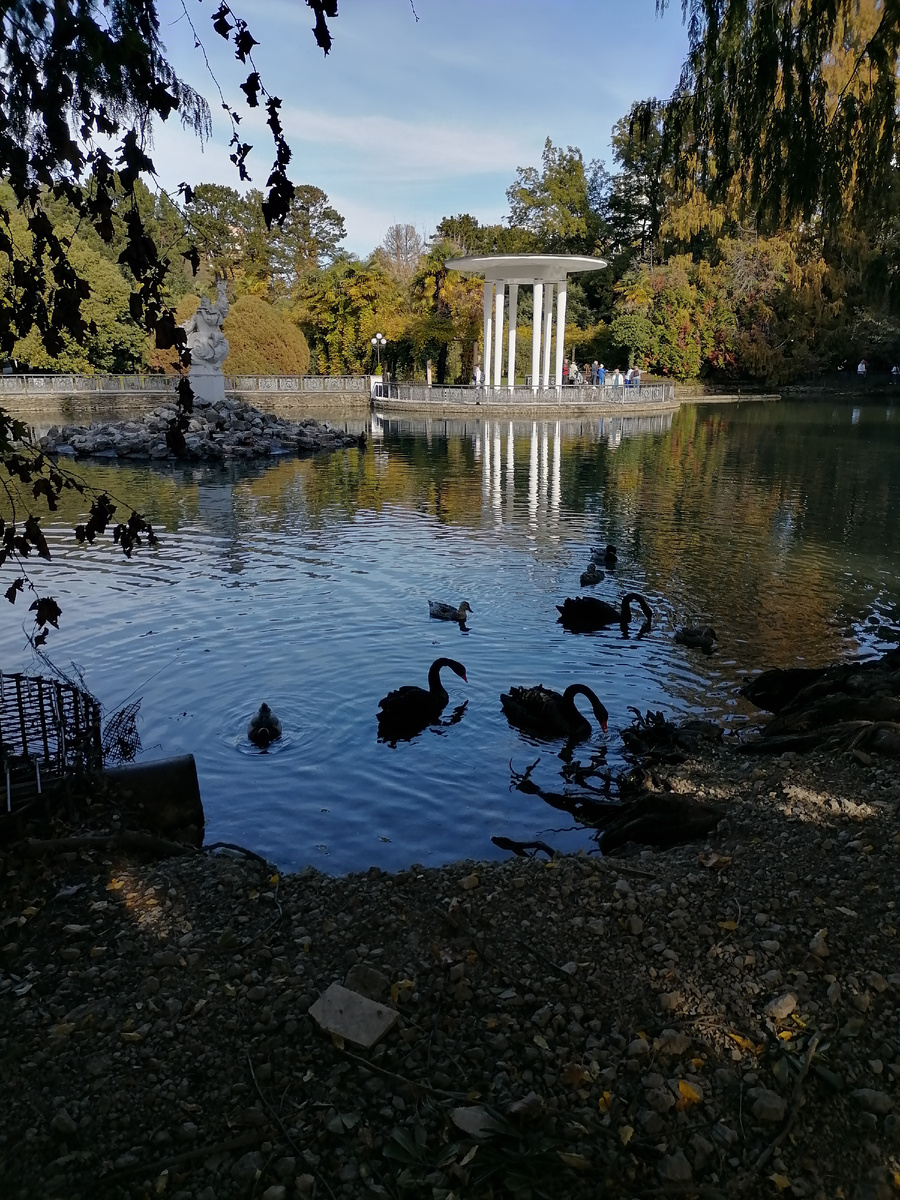 Сочи. Фото автора